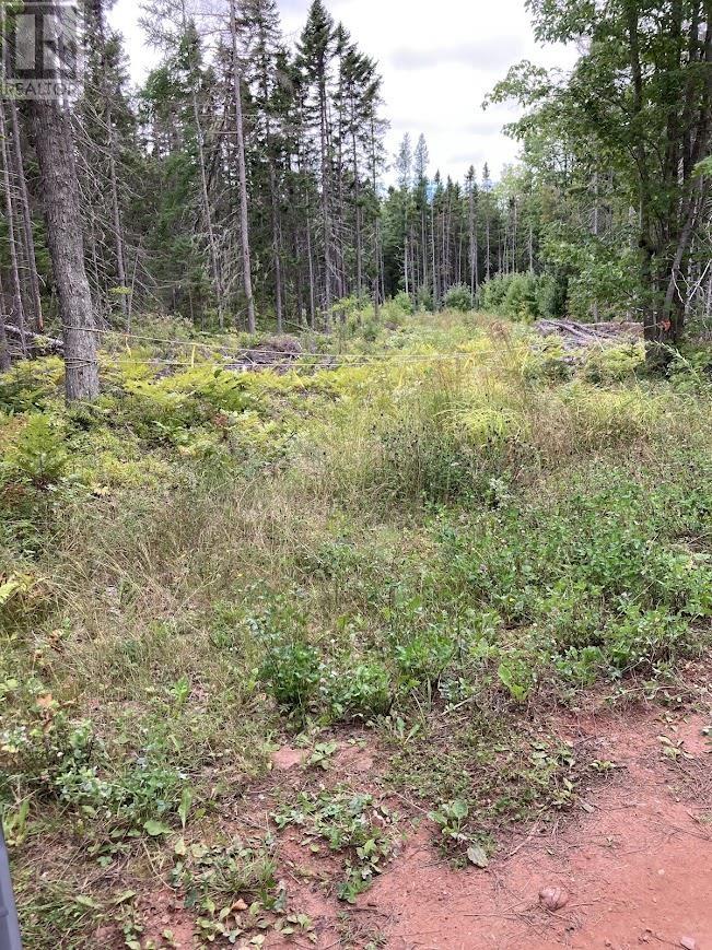 Lot Farley Road, St. Lawrence, Prince Edward Island  C0B 1E0 - Photo 3 - 202604627