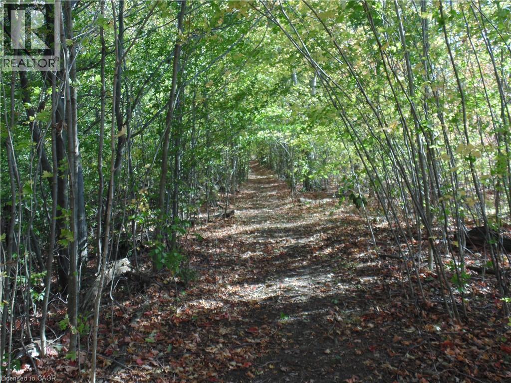 45 Bluenose Drive, Port Dover, Ontario  N0A 1N7 - Photo 48 - 40811127