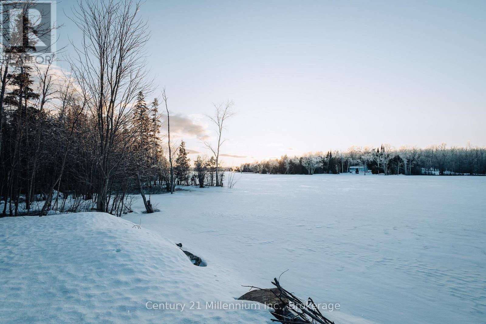 20 Cottage Cove Road, Northern Bruce Peninsula, Ontario  N0H 1W0 - Photo 43 - X12886234