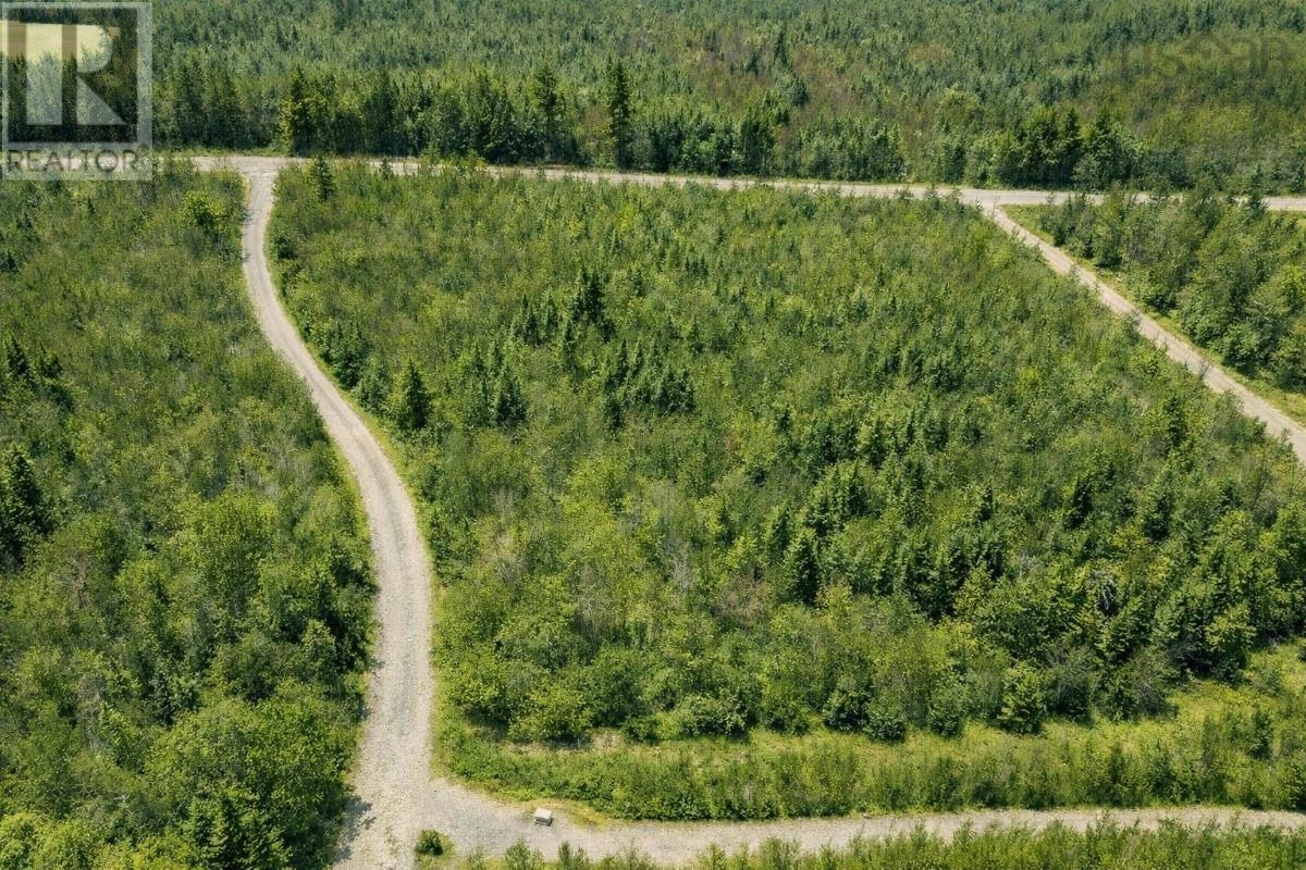Lot Dunn Road, Bear River East, Nova Scotia  B0S 1H0 - Photo 3 - 202604116