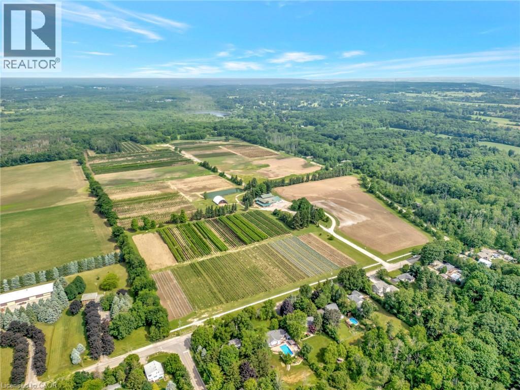 573 Parkside Drive, Hamilton, Ontario  L8B 0G7 - Photo 6 - 40812431