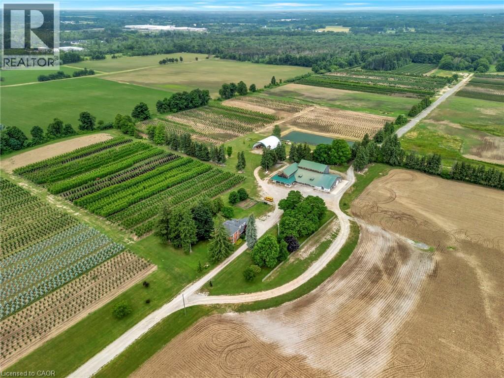 573 Parkside Drive, Hamilton, Ontario  L8B 0G7 - Photo 13 - 40812425