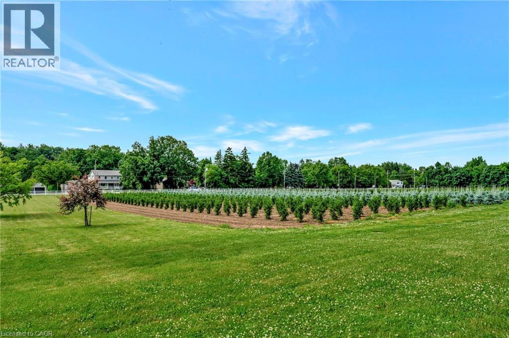 573 Parkside Drive, Hamilton, Ontario  L8B 0G7 - Photo 18 - 40812425