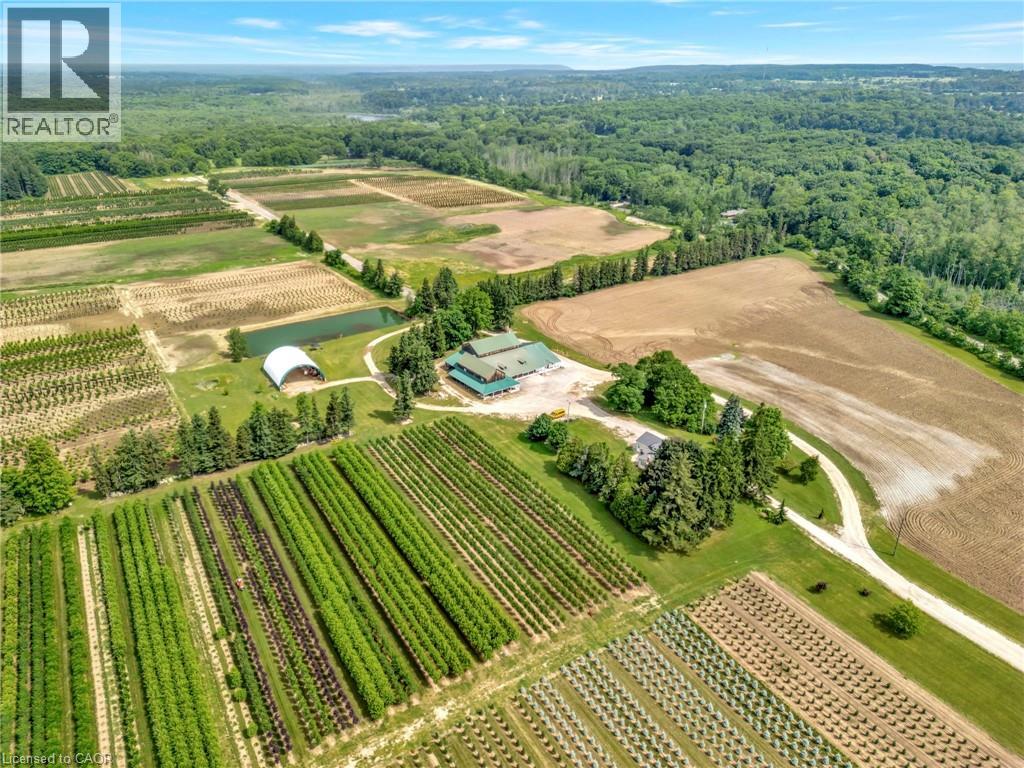 573 Parkside Drive, Hamilton, Ontario  L8B 0G7 - Photo 3 - 40812425