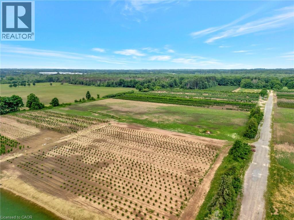 573 Parkside Drive, Hamilton, Ontario  L8B 0G7 - Photo 8 - 40812425