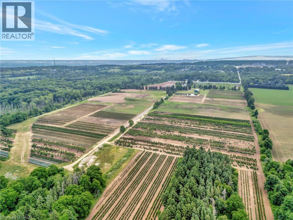 573 Parkside Drive, Hamilton, Ontario  L8B 0G7 - Photo 9 - 40812425