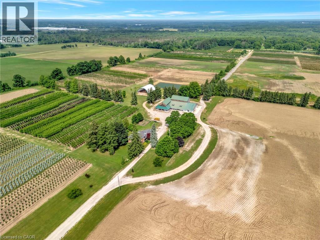 573 Parkside Drive, Hamilton, Ontario  L8B 0G7 - Photo 4 - 40812422