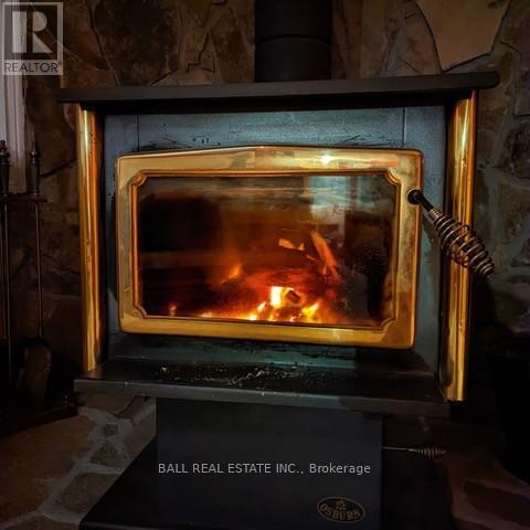 10 Fire Route 133a, Trent Lakes, Ontario  K0L 1J0 - Photo 14 - X12886500