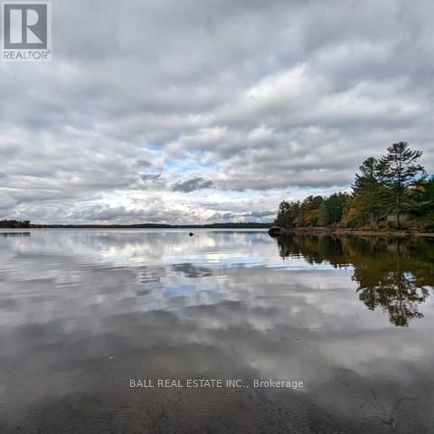 10 Fire Route 133a, Trent Lakes, Ontario  K0L 1J0 - Photo 36 - X12886500
