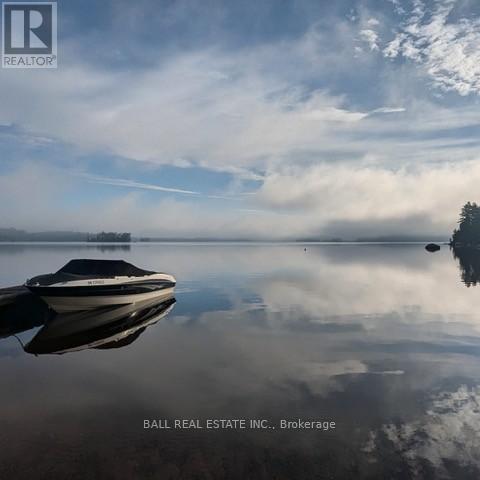 10 Fire Route 133a, Trent Lakes, Ontario  K0L 1J0 - Photo 37 - X12886500