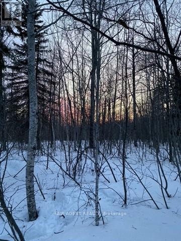 Pcl 5837 & Pcl 6721 Vezina Road, Cochrane, Ontario  P0L 1C0 - Photo 10 - T12886416