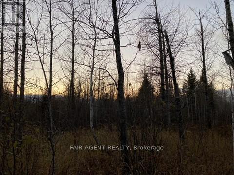 Pcl 5837 & Pcl 6721 Vezina Road, Cochrane, Ontario  P0L 1C0 - Photo 13 - T12886416