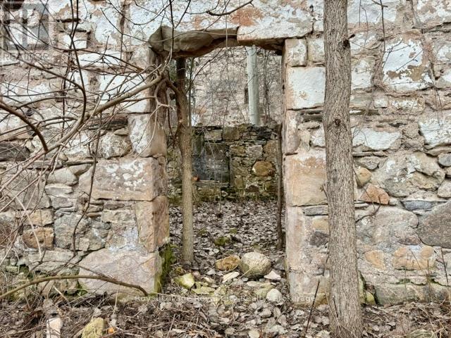 156 Barden Street, Guelph/eramosa, Ontario  N0B 1P0 - Photo 17 - X12886402