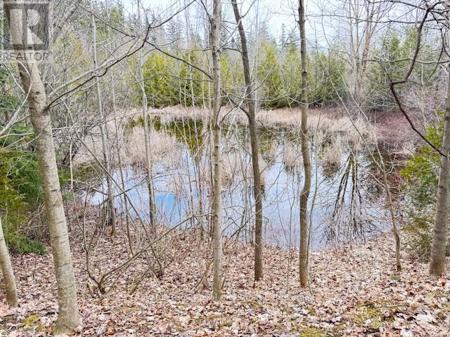 156 Barden Street, Guelph/eramosa, Ontario  N0B 1P0 - Photo 19 - X12886402