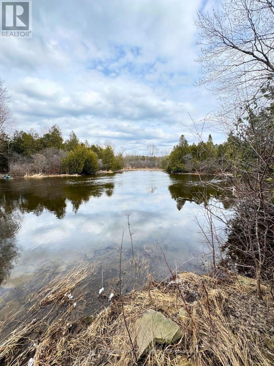 156 Barden Street, Guelph/eramosa, Ontario  N0B 1P0 - Photo 8 - X12886402