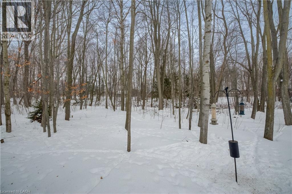 439 Northlake Drive, Waterloo, Ontario  N2V 1Y6 - Photo 40 - 40802474