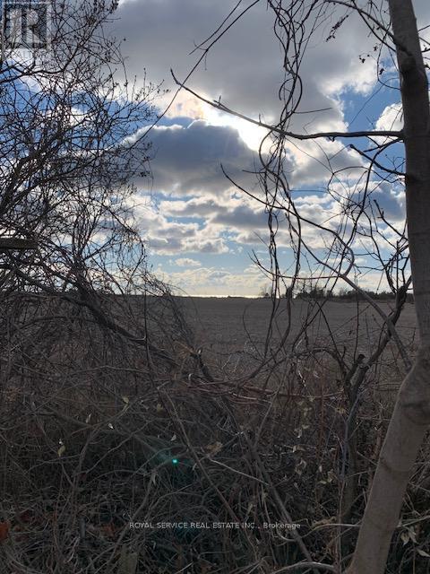 2 - 1037 Arthur Street, Clarington, Ontario  L1B 1K6 - Photo 2 - E12886904