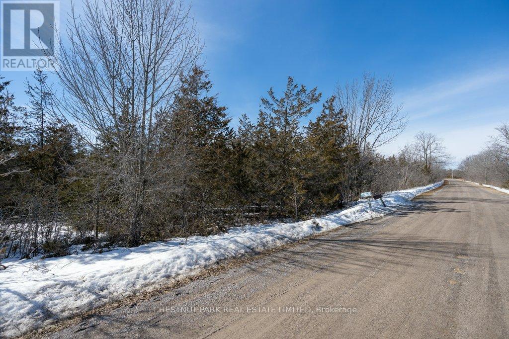 206 Simpson Road, Prince Edward County, Ontario  K0K 2P0 - Photo 3 - X12880370