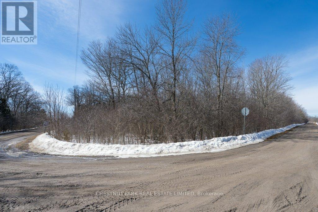 206 Simpson Road, Prince Edward County, Ontario  K0K 2P0 - Photo 4 - X12880370
