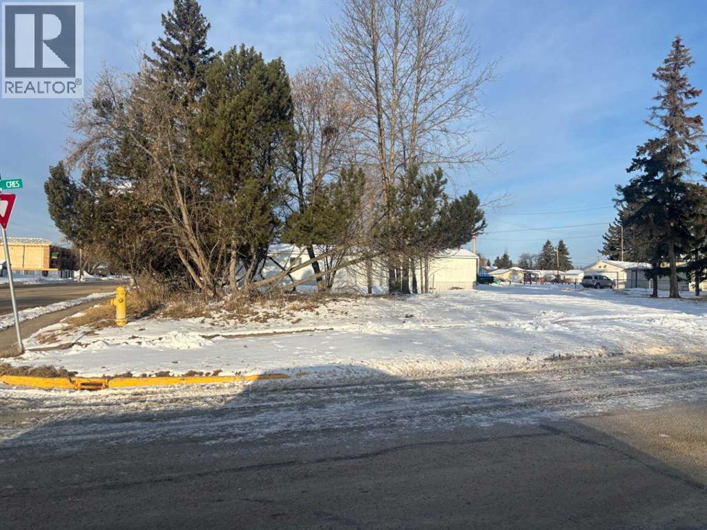 4504 55 Avenue, Whitecourt, Alberta  T7S 1A8 - Photo 5 - A2203730