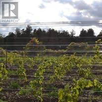 419 County Rd 25 Road, Prince Edward County (North Marysburg Ward), Ontario  K0K 2T0 - Photo 10 - X12886934