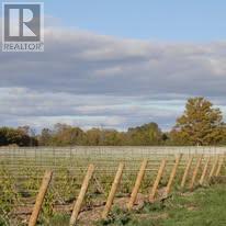 419 County Rd 25 Road, Prince Edward County (North Marysburg Ward), Ontario  K0K 2T0 - Photo 4 - X12886934