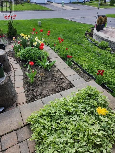 2836 Mozart Court, Ottawa, Ontario  K1T 2P7 - Photo 32 - X12869050