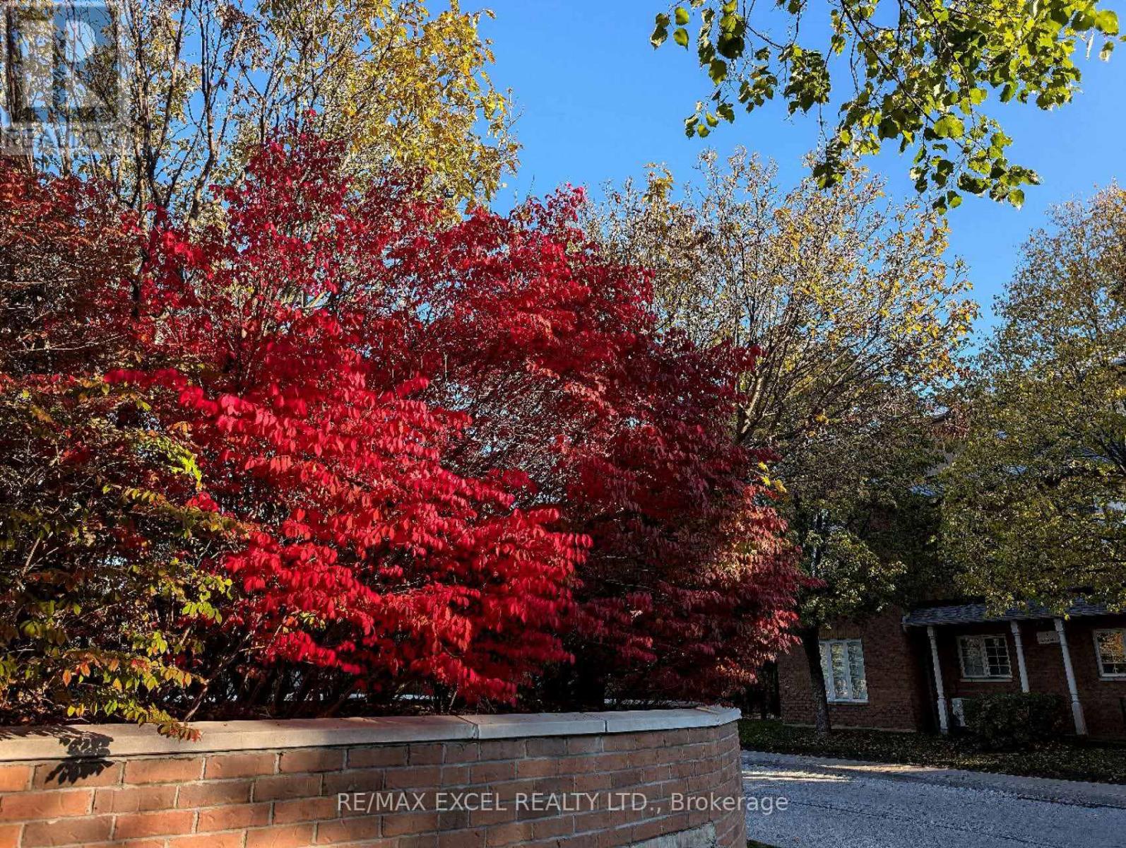 3 - 10 Cox Boulevard, Markham, Ontario  L3R 4G2 - Photo 39 - N12886908