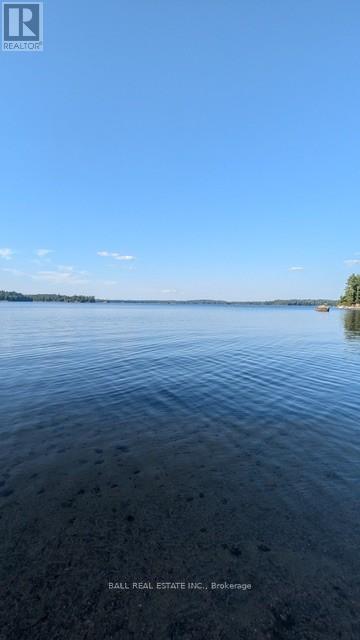10 Fire Route 133a, Trent Lakes, Ontario  K0L 1J0 - Photo 33 - X12886500