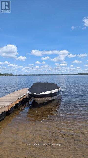 10 Fire Route 133a, Trent Lakes, Ontario  K0L 1J0 - Photo 39 - X12886500