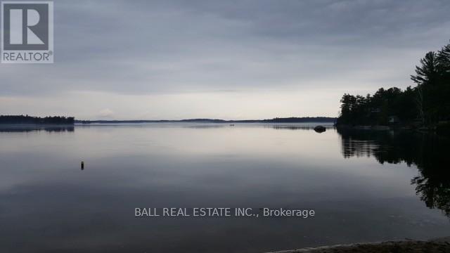 10 Fire Route 133a, Trent Lakes, Ontario  K0L 1J0 - Photo 35 - X12886500