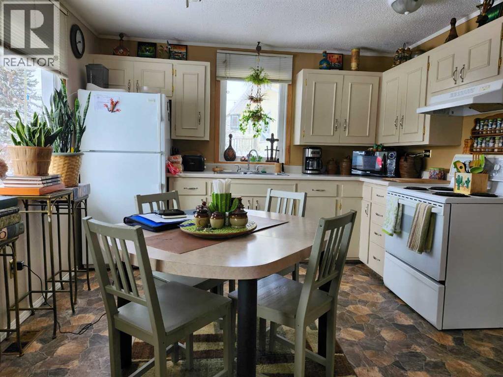 716 1 Street Sw, Drumheller, Alberta  T0J 0Y6 - Photo 5 - A2293371