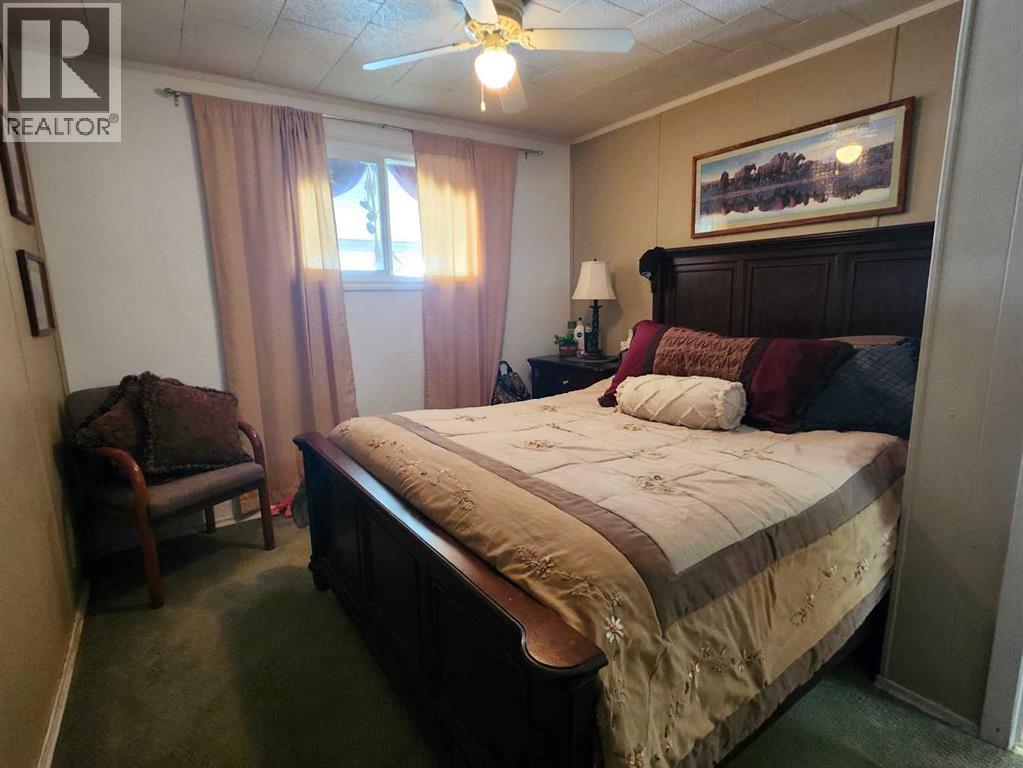 716 1 Street Sw, Drumheller, Alberta  T0J 0Y6 - Photo 8 - A2293371