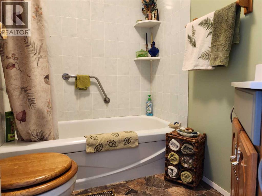 716 1 Street Sw, Drumheller, Alberta  T0J 0Y6 - Photo 9 - A2293371