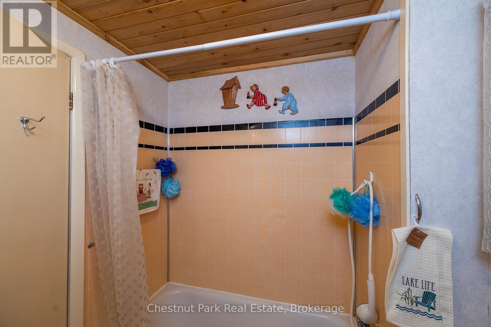 41 Simpson Avenue, Northern Bruce Peninsula, Ontario  N0H 2R0 - Photo 48 - X12887348