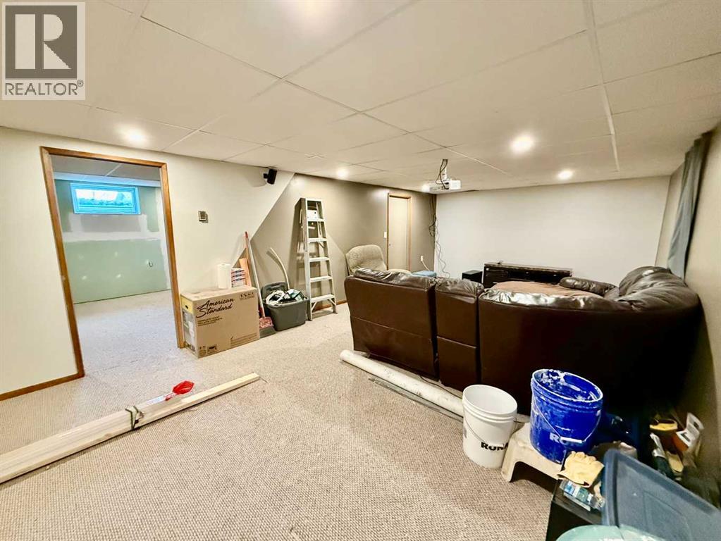 4425 56 Avenue, Provost, Alberta  T0B 3S0 - Photo 27 - A2259082