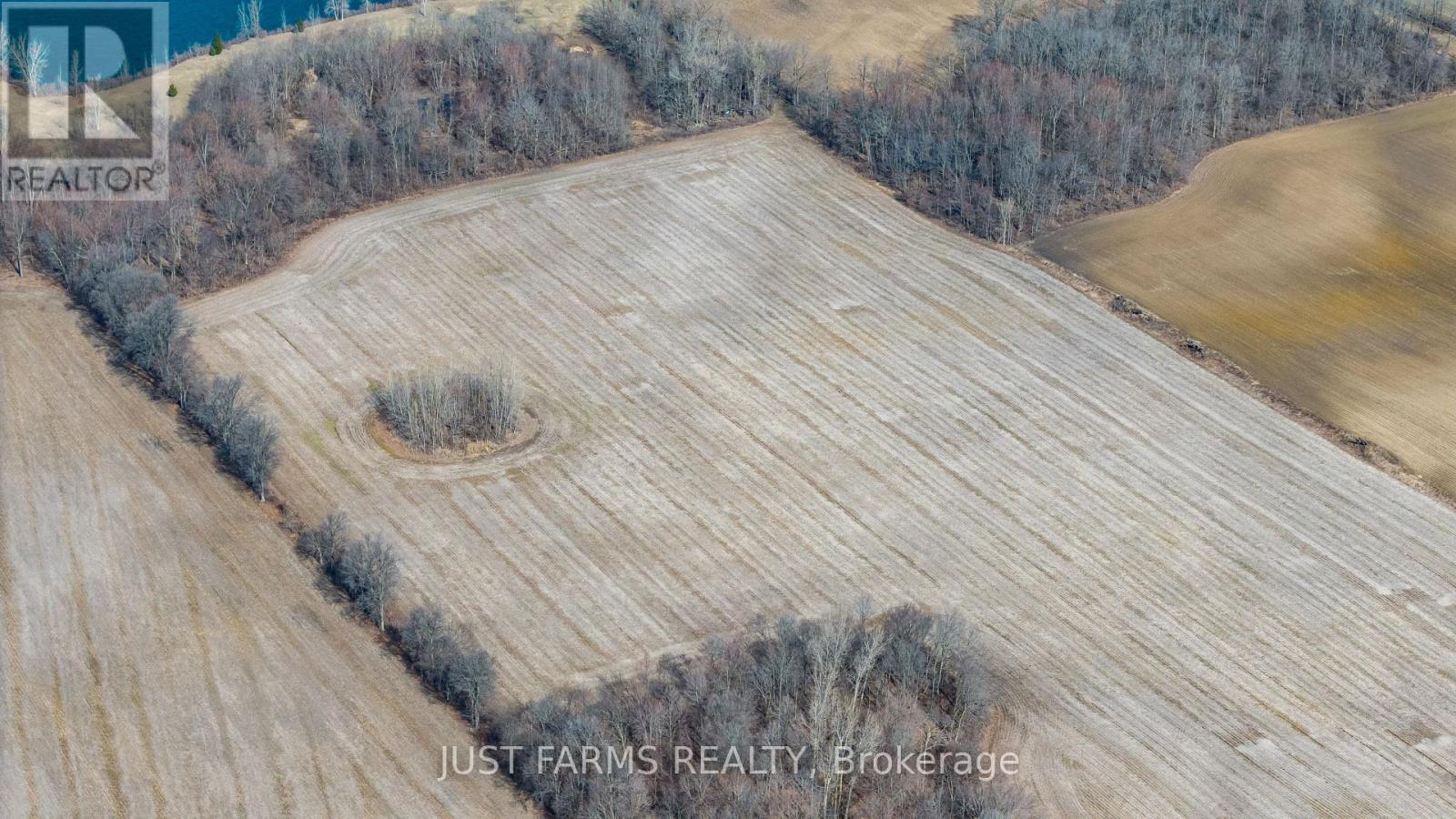 20306 Mclean Line, West Elgin, Ontario  N0L 2N0 - Photo 7 - X12887364