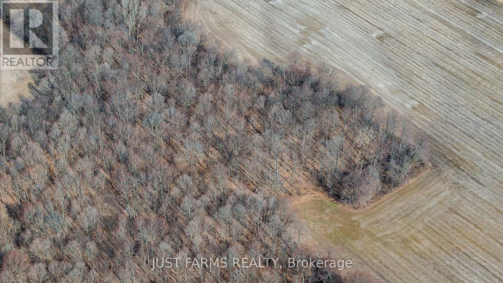 20306 Mclean Line, West Elgin, Ontario  N0L 2N0 - Photo 9 - X12887364