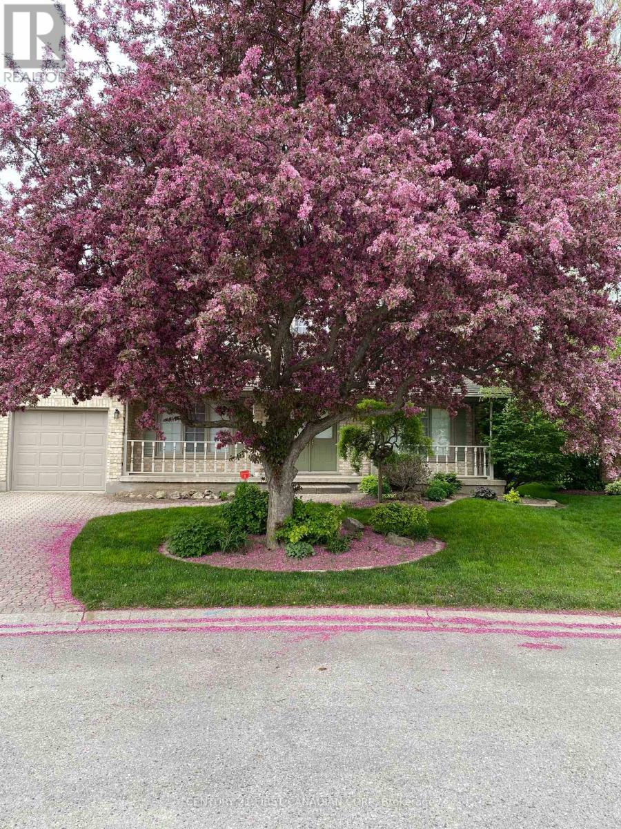 26 Angus Court, London North, Ontario  N5X 3J4 - Photo 46 - X12887384