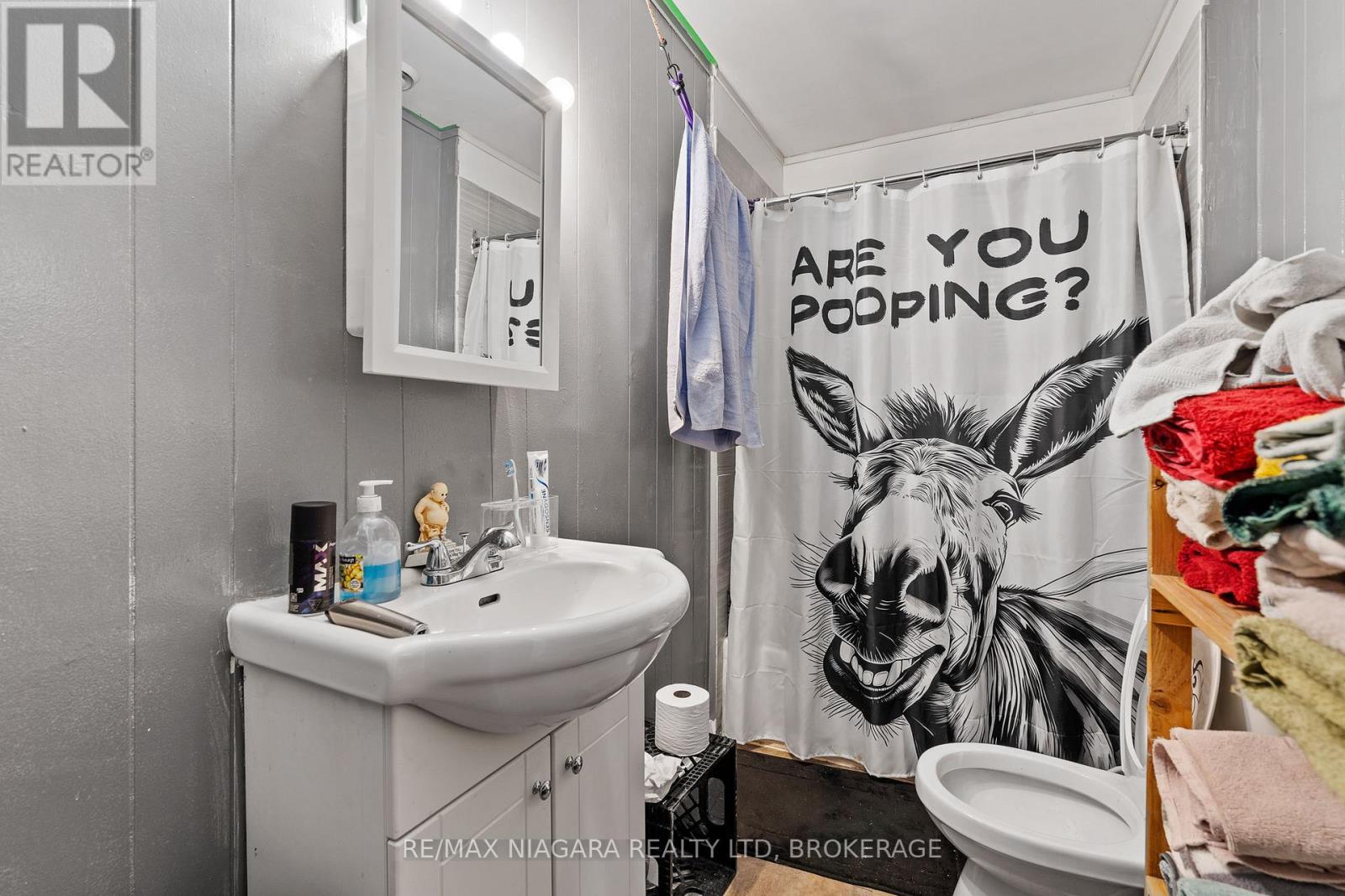 224 Mitchell Street, Port Colborne (East Village), Ontario  L3K 1Y3 - Photo 9 - X12887386