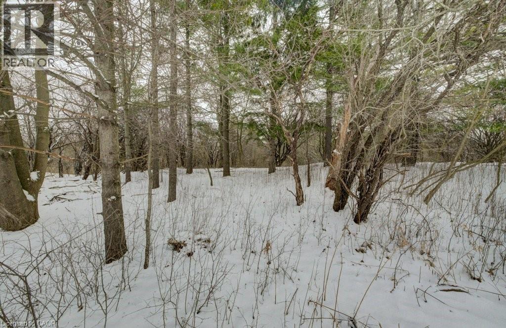 776 Scottsdale Drive, Guelph, Ontario  N1G 3L8 - Photo 43 - 40812487