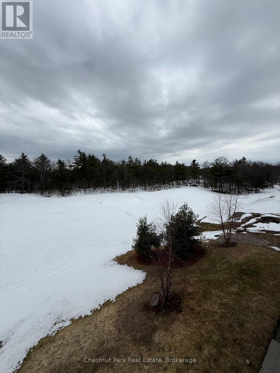303 - 120 Carrick Trail, Gravenhurst (Muskoka (S)), Ontario  P1P 0A2 - Photo 16 - X12887584