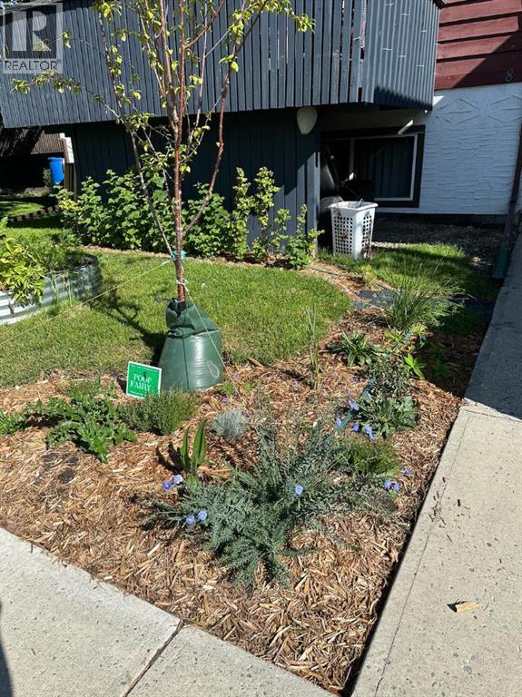 8, 50 8 Avenue Se, High River, Alberta  T1V 1E8 - Photo 25 - A2290763