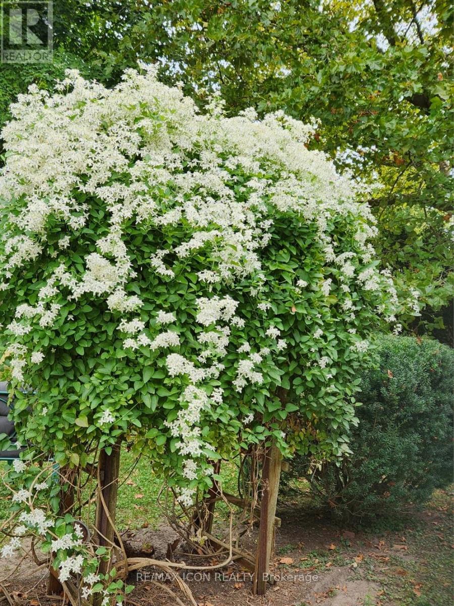 182 Maple Street, West Elgin (West Lorne), Ontario  N0L 2P0 - Photo 40 - X12887690