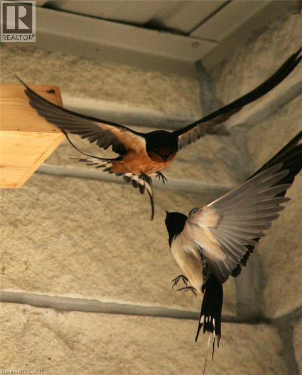 130 Coopershawk Street, Kitchener, Ontario  N2K 4J3 - Photo 47 - 40812421