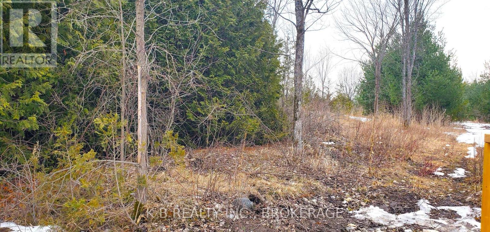 0 Adair Road, Stone Mills (Stone Mills), Ontario  K0K 3G0 - Photo 3 - X12887924