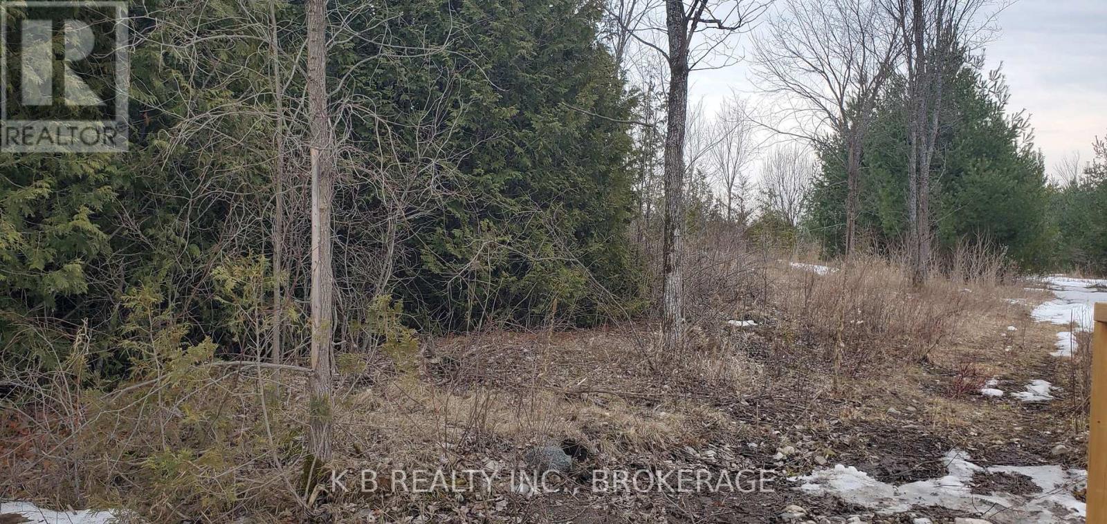 0 Adair Road, Stone Mills (Stone Mills), Ontario  K0K 3G0 - Photo 4 - X12887924