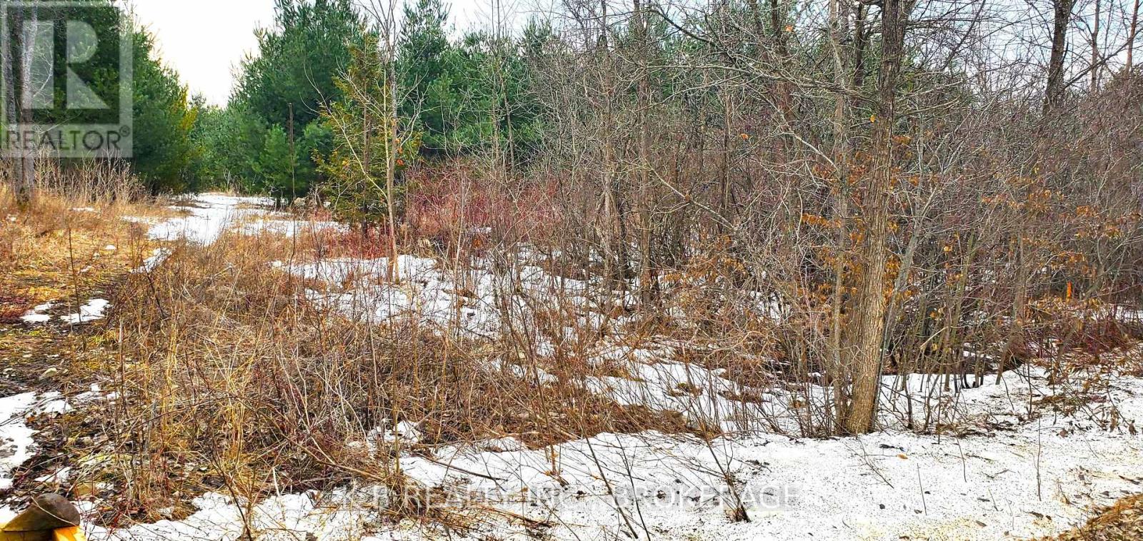 0 Adair Road, Stone Mills (Stone Mills), Ontario  K0K 3G0 - Photo 5 - X12887924