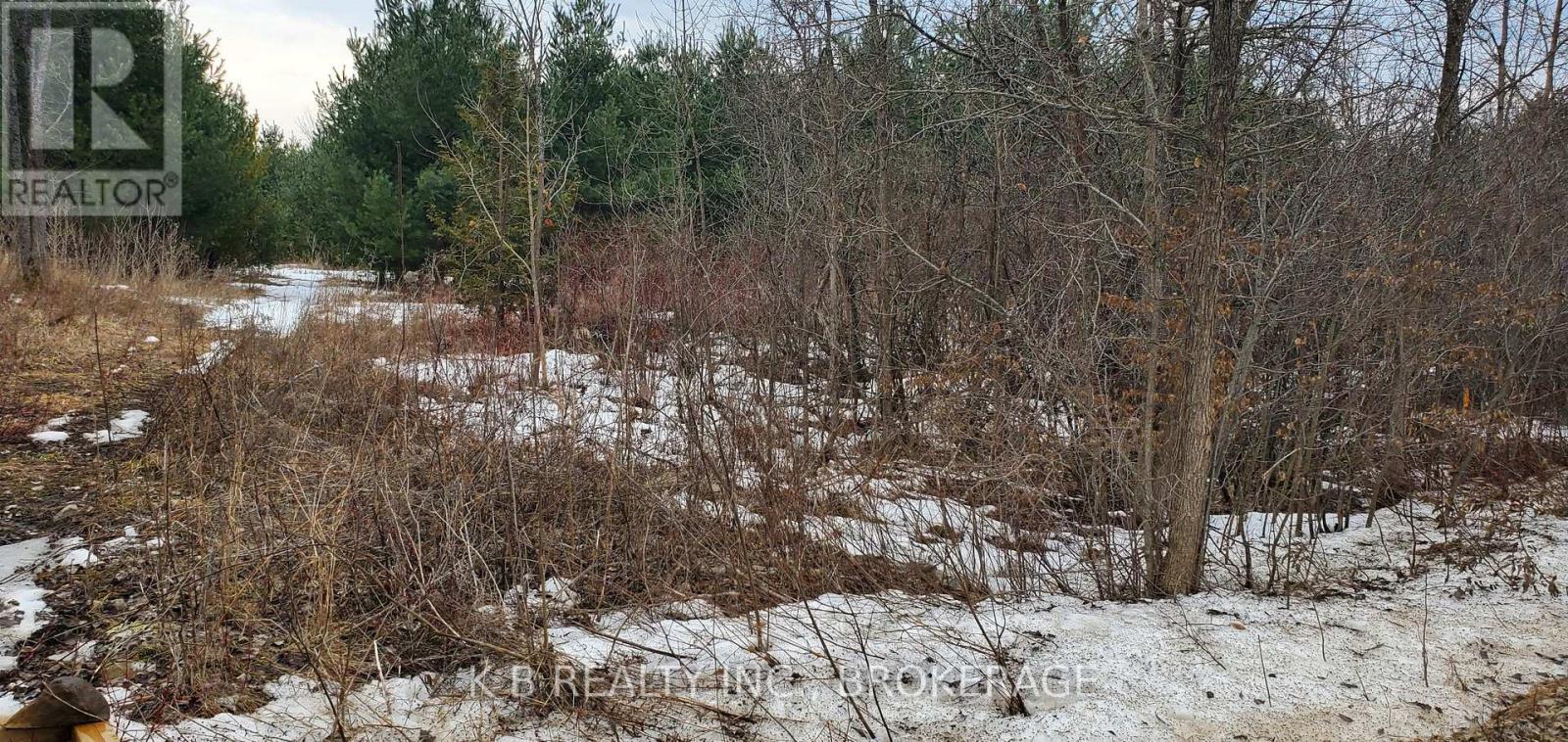 0 Adair Road, Stone Mills (Stone Mills), Ontario  K0K 3G0 - Photo 6 - X12887924