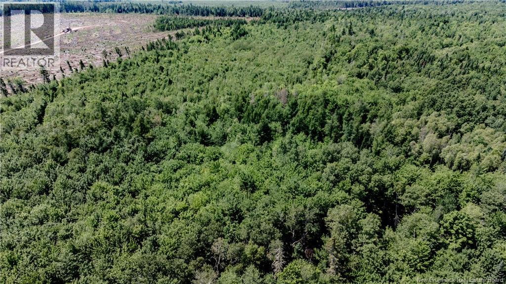 Vacant Lot Ch Nw Aldouane River Rd, Saint-Charles, New Brunswick  E4W 0A8 - Photo 1 - NB134785